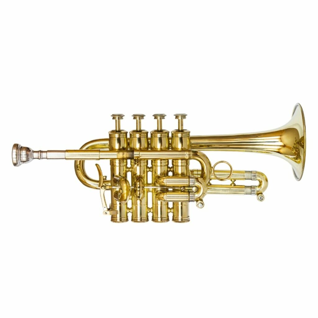 The piccolo trumpet is one of the smaller trumpets. 