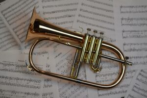 La trompeta piccolo es una de las trompetas más pequeñas. 